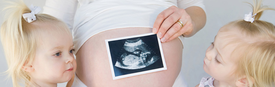 Fotolia 12385662 M