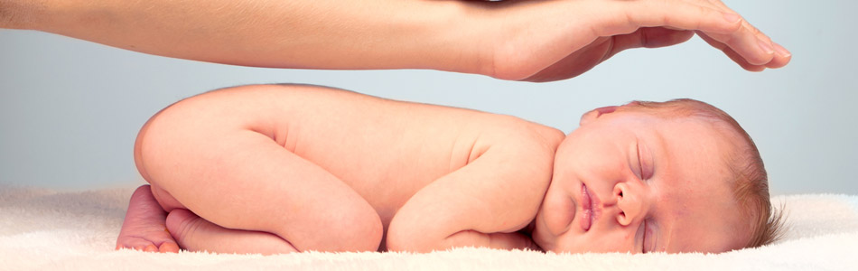 Fotolia 24404959 M
