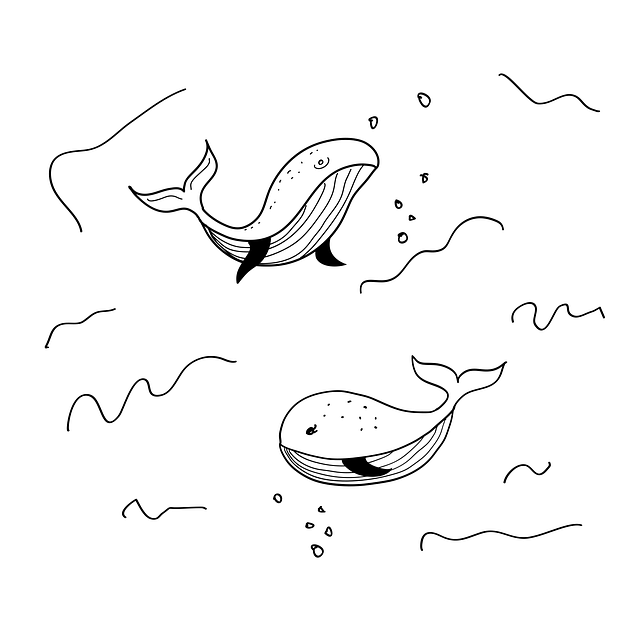 whale-6869763_640.png