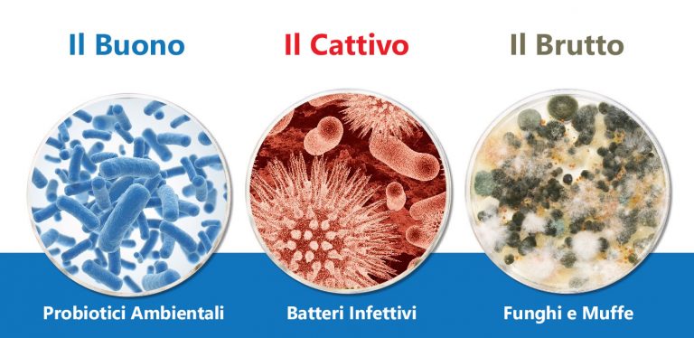 batteri-e-probiotici-buoni-768x374.jpg