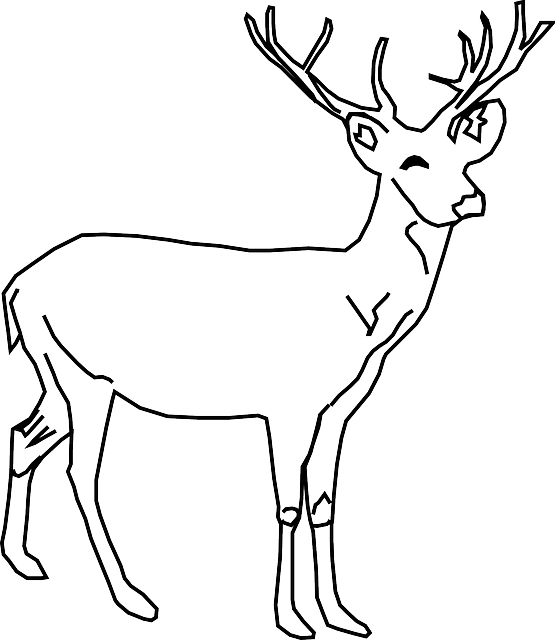 deer-40245_640.png
