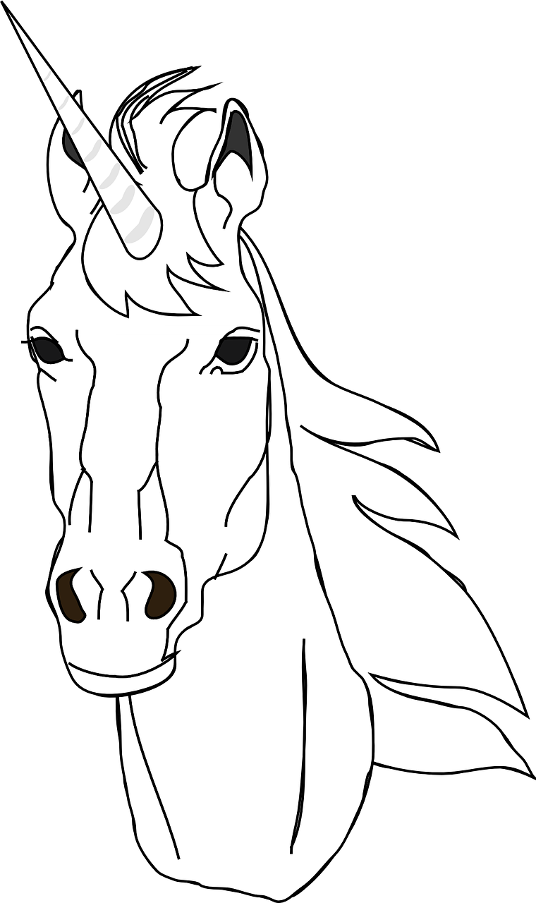 disegno-colorare-unicorno.png