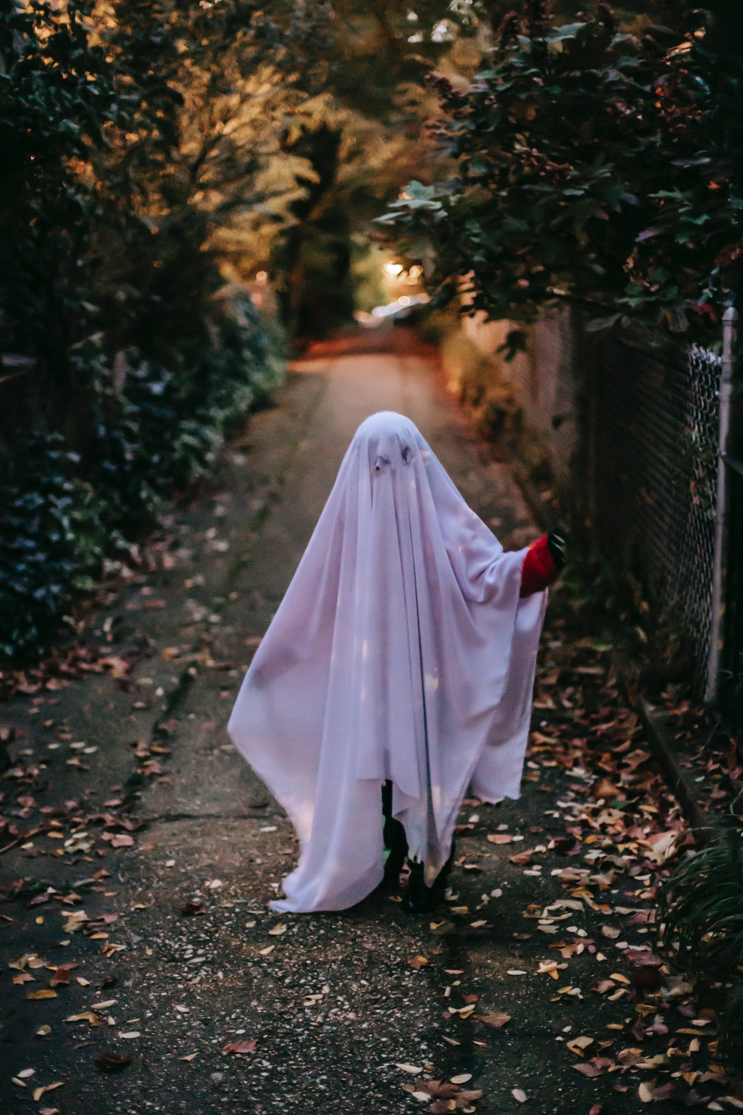 fantasma-halloween.jpg