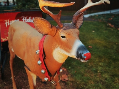 "Rudolph the Red-Nosed Reindeer": il testo e la storia della canzone di Natale