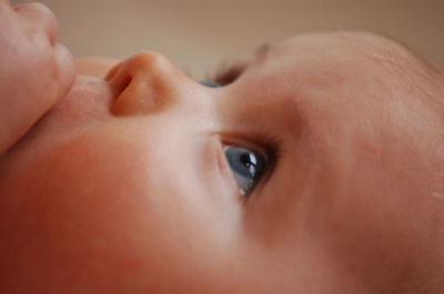 TONIMER BABY EYES: salviettine per gli occhi dei bambini