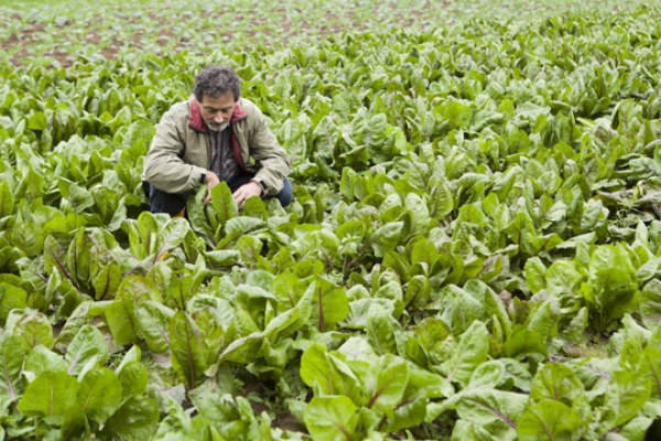 Il mio SanaBologna: ho incontrato persone, non solo biologico