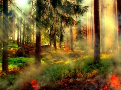 Lasciate che i bambini credano nella magia