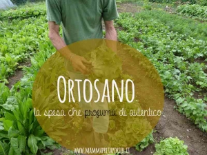 Ortosano: la mia spesa del sabato mattina che profuma