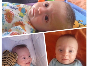 La storia di Carolina