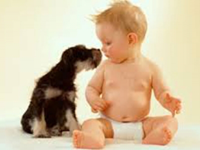 Cucciolo di uomo e cucciolo di cane: più simili di quanto pensiamo