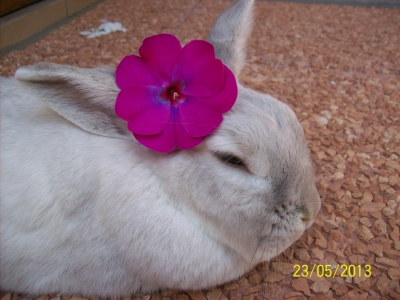 Un errore, il mio più grande amore