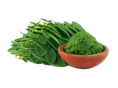 Gli usi e le proprietà della Moringa Oleifera