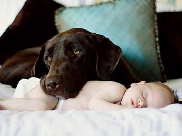 Crescere con un cane