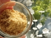 Parmigiano veg