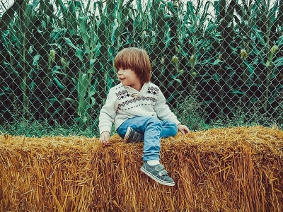 Studiare all'aperto: l'esperienza della Svezia