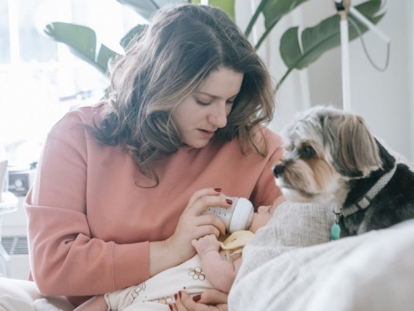 Cani e bebè: cosa fare quando in casa arriva un neonato