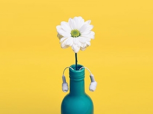 Spray per rinforzare il sistema immunitario