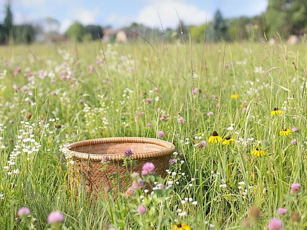 Come creare un cestino dei tesori