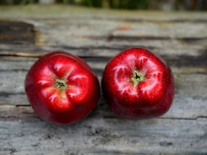 La mela, il frutto così semplice da essere perfetto: le proprietà e le ricette