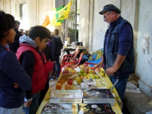 La Fattoria va a Scuola: quando le fattorie del Friuli incontrano le scuole milanesi