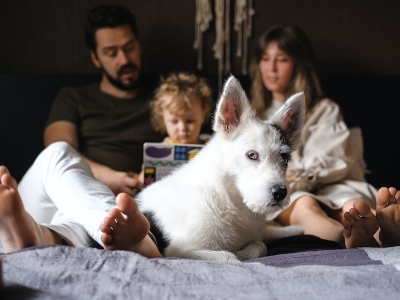 Nomi per cani: qualche idea per l'amico a quattro zampe di famiglia