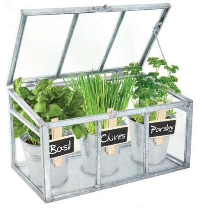 Proprietà delle erbe aromatiche e il loro uso