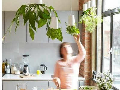 10 idee per arredare con le piante aromatiche