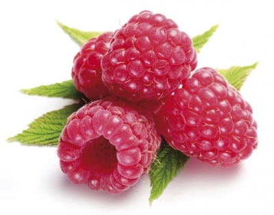 Calendario di frutta e verdura di stagione