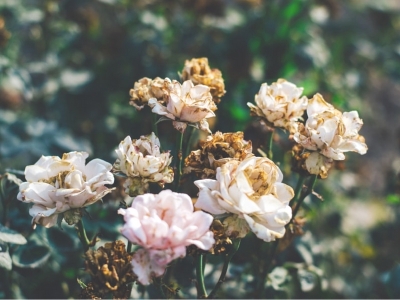 Care mamme, c’è in giro troppa perfezione