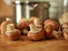 Funghi in gravidanza: sì o no?