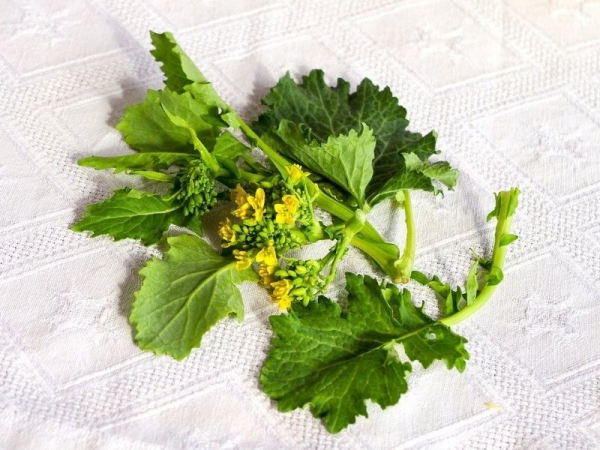 Pasta con le cime di rapa