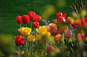 Che cos&#039;è l&#039;antroposofia?