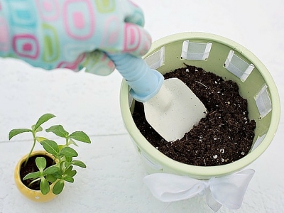 Giardinaggio e prodromi di travaglio?