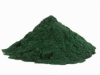 Tutti i benefici dell'alga spirulina