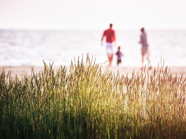 Estate green: i consigli per viverla rispettando l’ambiente