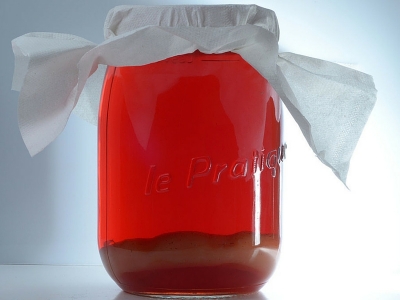 Il Kombucha, l'elisir fermentato di lunga vita