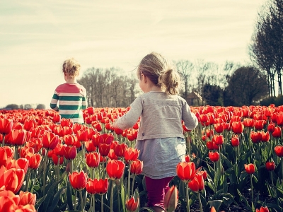 Le basi della pedagogia steineriana