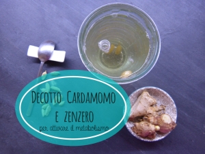 Decotto cardamomo e zenzero
