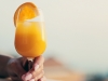 Un estratto ricco di enzimi digestivi per aperitivo