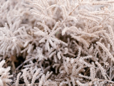 "Bianco Natal", il testo della canzone italiana e la versione inglese