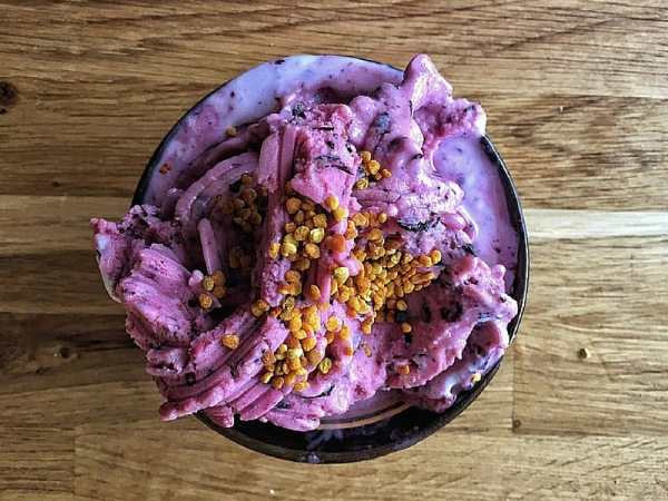 La ricetta per fare il gelato con l&#039;estrattore