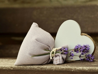 Come essicare la lavanda