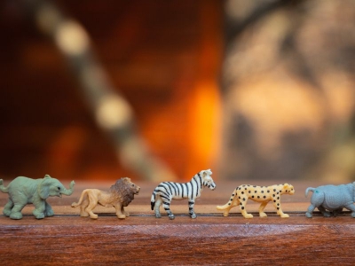 Giochi e attività con gli animali di plastica