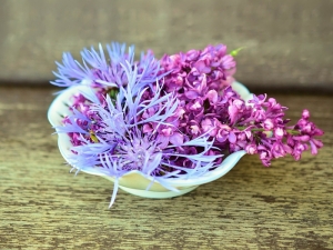 Aromadiffusione per gli stati emotivi