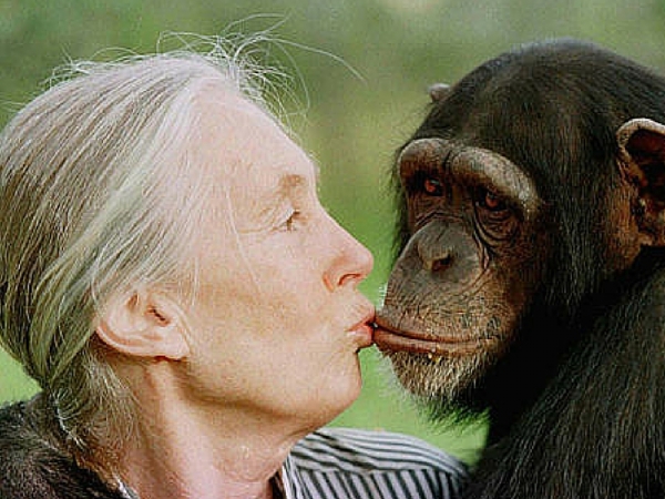 Jane Goodall ci insegna il rispetto per gli animali: