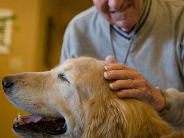 Cos&#039;è la pet terapy e come si diventa operatore di pet therapy?