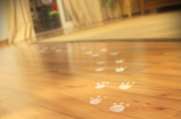 Il coniglio e i suoi doni