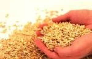 Ben-essere con la pula di farro