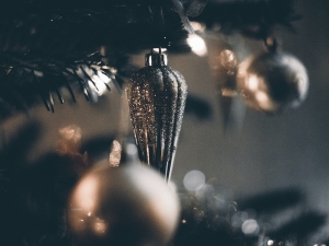 La poesia che inventò il Natale: &quot;Twas the Night Before Christmas&quot;