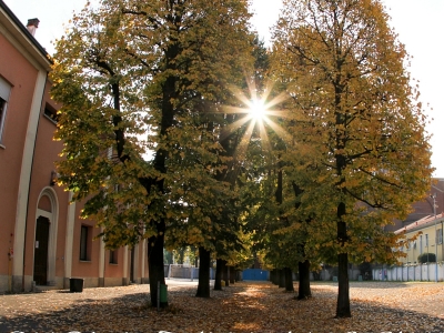 L'innovativa scuola San Giuseppe di Meda